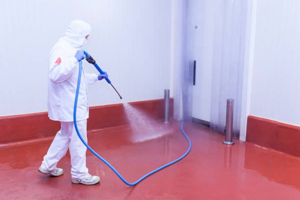 Paint Preparation in South Miami Heights, FL