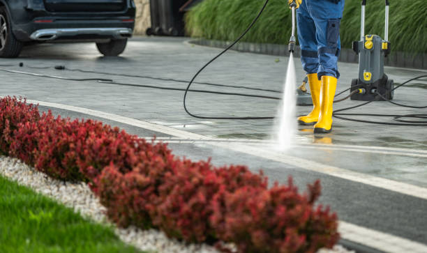 Best Sidewalk and Walkway Cleaning  in South Miami Heights, FL